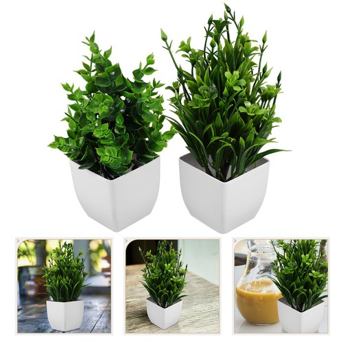 Pcs piantine finte piantina - ,