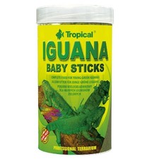 Tropical Iguana Baby Sticks