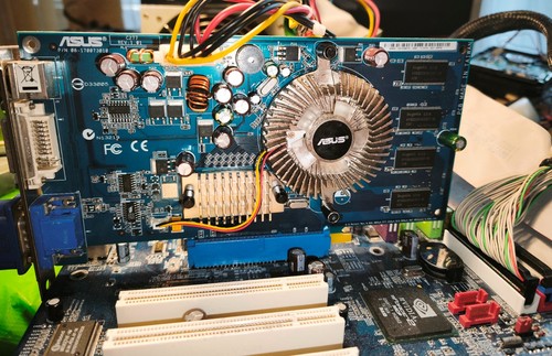 Nvidia 6600 asus - nvidia,