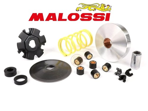 Variatore malossi multivar mhr - variatore,