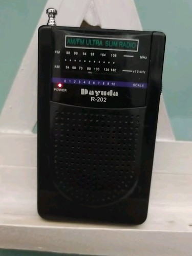 Radiolina tascabile fm - tascabile, am/fm