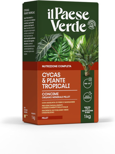 Concime piante verdi tropicali - concime,
