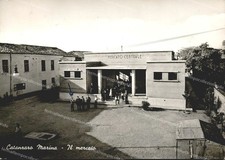 da1137 cartolina catanzaro marina il mercato