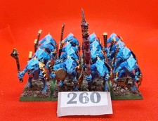 Warhammer Lizardmen Seraphon