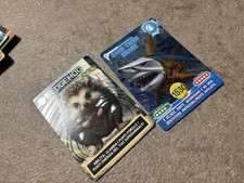 Cards Amici Cucciolotti 2025