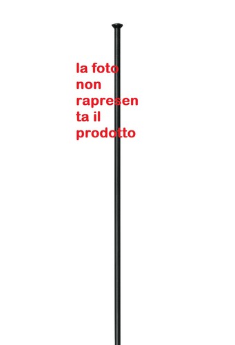 Raggi swiss per ruote arc - dt,