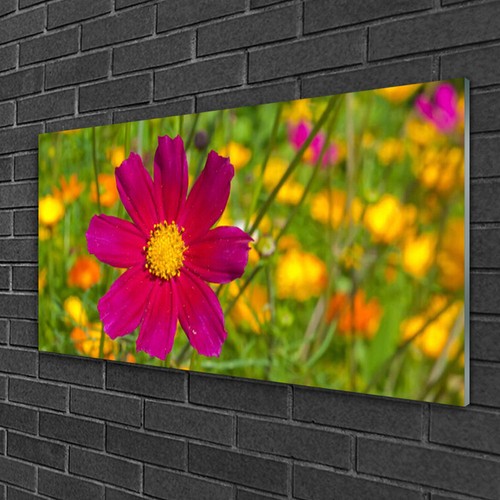 Quadri parete 100x50 quadro - quadri,