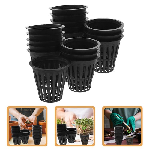 100 pcs tazza cestello - 100,