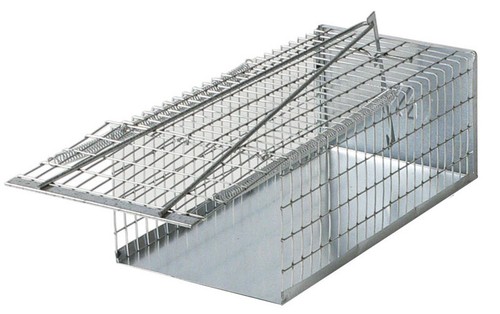 Trappola per topi - trappola, a