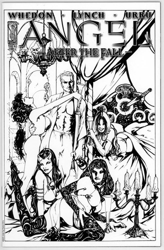 Angel after the fall - after,