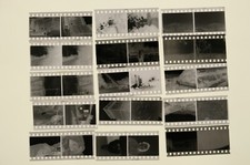 Negativi bianco/nero 24x36 anni 60 - colli e campagne bolognesi #OTT021