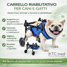 Sedia rotelle cane - sedia,