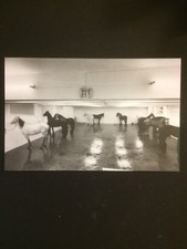 CLAUDIO ABATE, biglietto