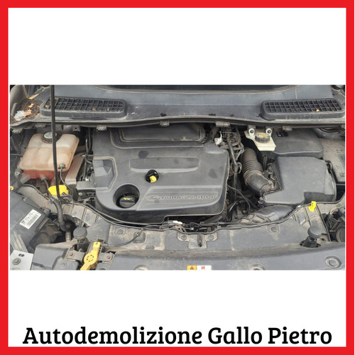 Motore txma tdci - tdci, 163