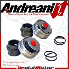 Andreani Pistoni Bpf Pompanti