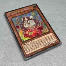 Mazzo 16 Carte Yugioh Madolche