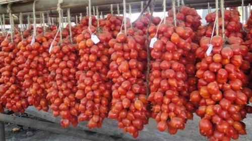Pomodoro piennolo del - pomodoro,