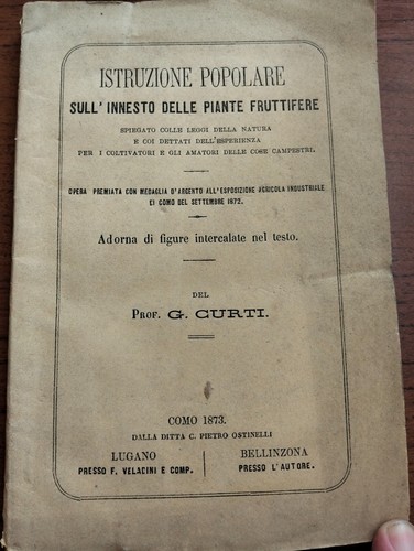 1873 curti istruzione - 1873, g.curti