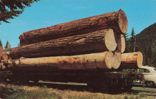 Railroad Car of Douglas Fir