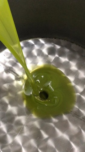5litri olio extra - 5litri,