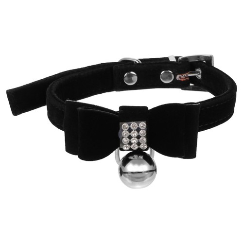 Collarino per gatti - collarino,