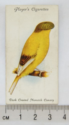 1933 john player - player, aviary