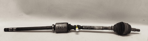 93189874 semialbero ant - semialbero,