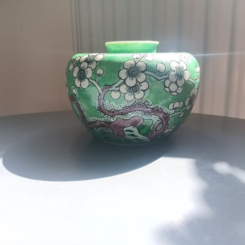 Splendido antico vaso bulbo - splendido,