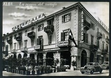 ALBA (CUNEO) - LA REGINA DEL TARTUFO -  TARTUFI TRUFFE TRUFFLE - VG anni '50