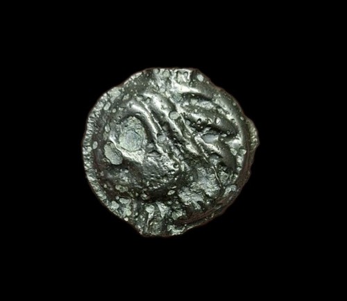 Leuchi pettegolezzo con - leuchi,