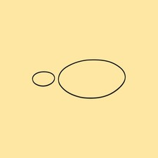 Kit Cinghie per Grundig Studio