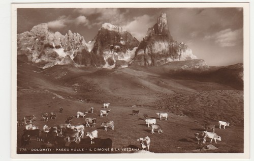 Passo rolle trento il - trento,