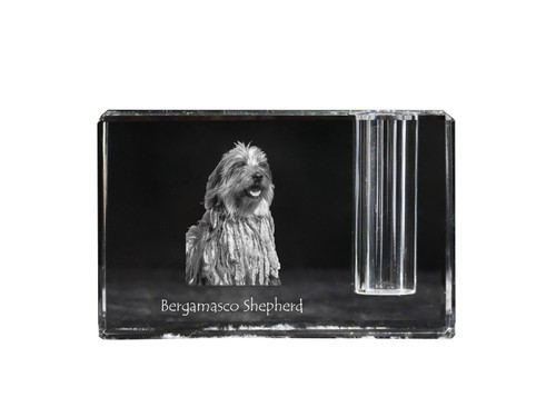 Cane pastore bergamasco - da,