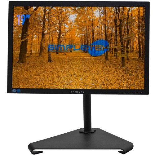 Samsung s19e450 schermo - s19e450,
