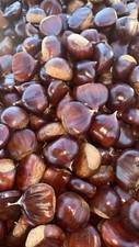 2,5_kg Castagne Marroni D.O.P Fresche  ... Appena Raccolte " Grandi "