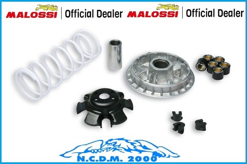 Variatore malossi multivar - malossi,