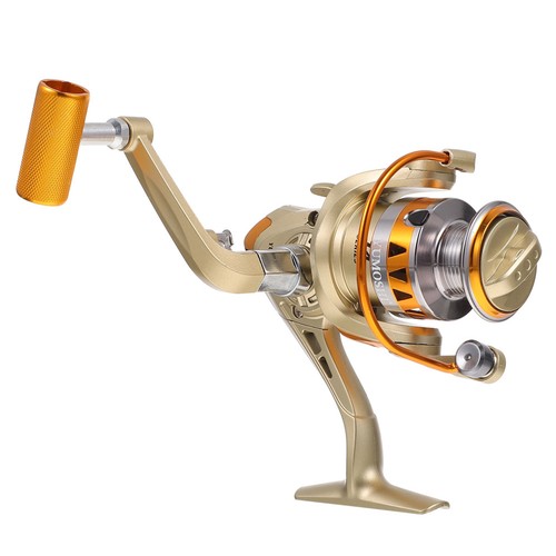Attrezzatura carpfishing - ,