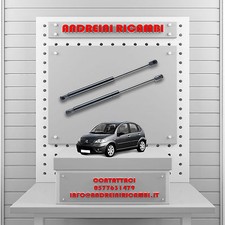 2 MOLLE A GAS BAGAGLIAIO