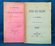 De Dominicis, La dottrina