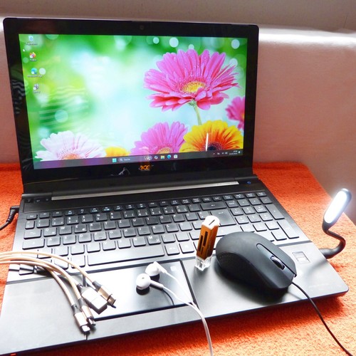 Acer 5951 pollici - 5951,