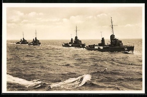 Torpediniere greif möwe - torpediniere, greif,
