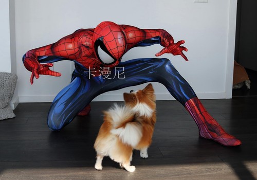 Cool ultimate spider man tuta - cool,