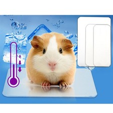  Piastra Refrigerante