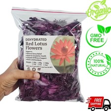 Fiore loto rosso essiccato - rosso,