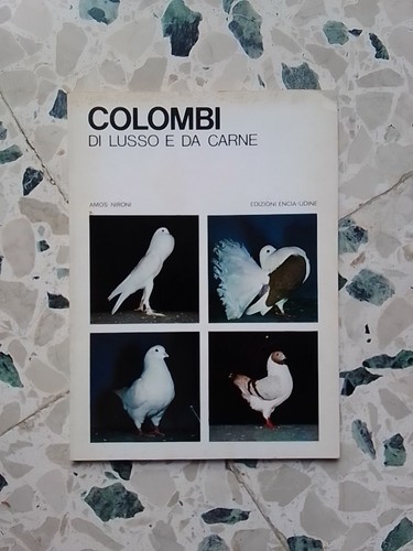 Colombi lusso da carne - colombi, e