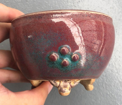 Vaso bonsai giapponese - , insegna