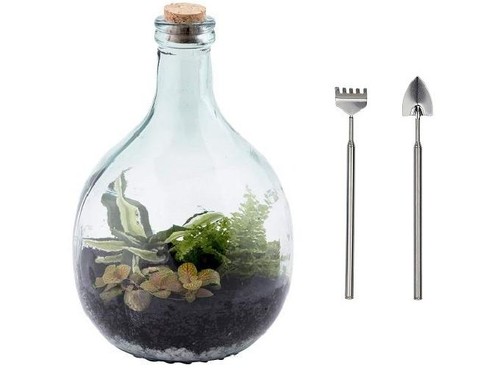 Terrario bottle garden - terrario, –