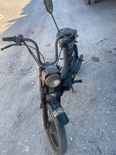 Califfone rizzato - ,