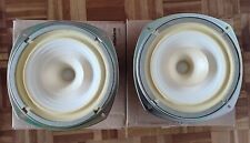 2 altoparlanti a banda larga