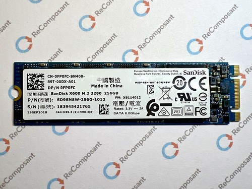Ssd sandisk 256go 2280 - sandisk, m.2